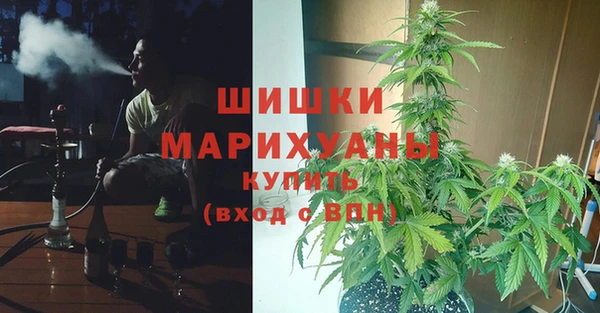 ешки Бердск